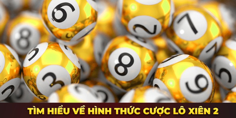 Tìm hiểu về hình thức cược lô xiên 2