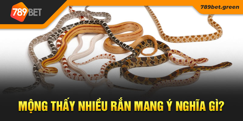 Mộng thấy nhiều rắn mang ý nghĩa gì?