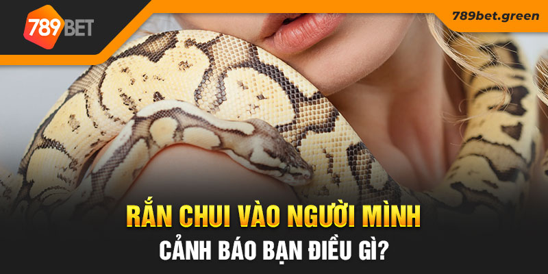 Rắn chui vào người mình cảnh báo bạn điều gì? 