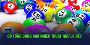 Có tổng cộng bao nhiêu thuật ngữ lô đề?