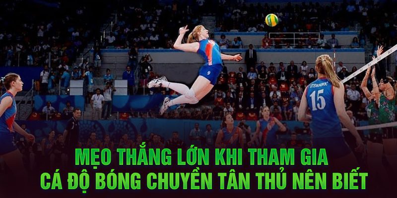 Mẹo thắng lớn khi tham gia cá độ bóng chuyền tân thủ nên biết