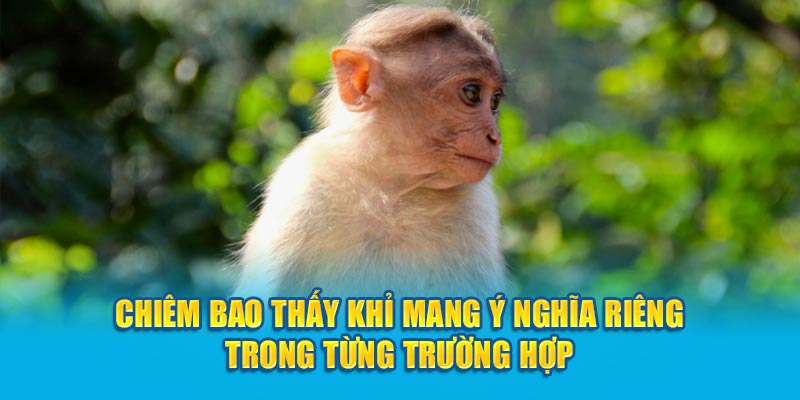 Chiêm bao thấy khỉ mang ý nghĩa riêng trong từng trường hợp