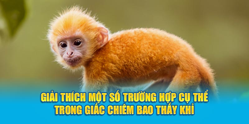 Giải thích một số trường hợp cụ thể trong giấc chiêm bao thấy khỉ