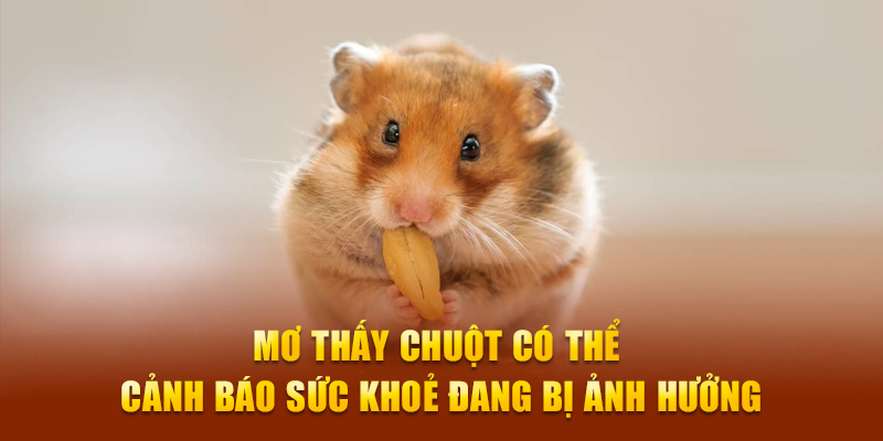 Mơ thấy chuột có thể cảnh báo sức khoẻ đang bị ảnh hưởng