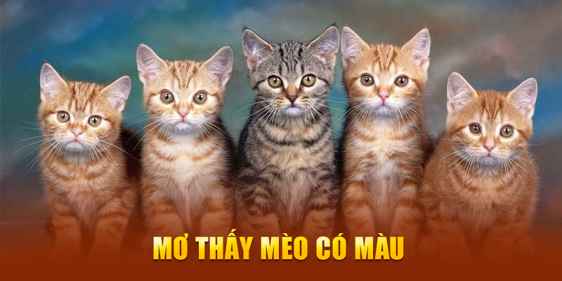 Mơ thấy mèo có màu 